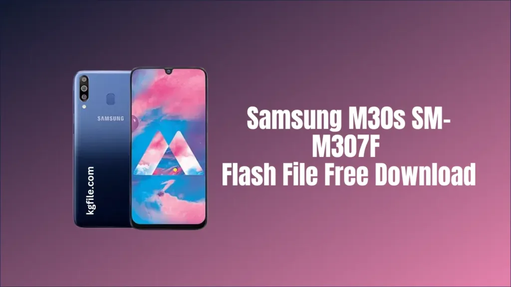 Samsung M30s SM-M307F Flash File Free Download